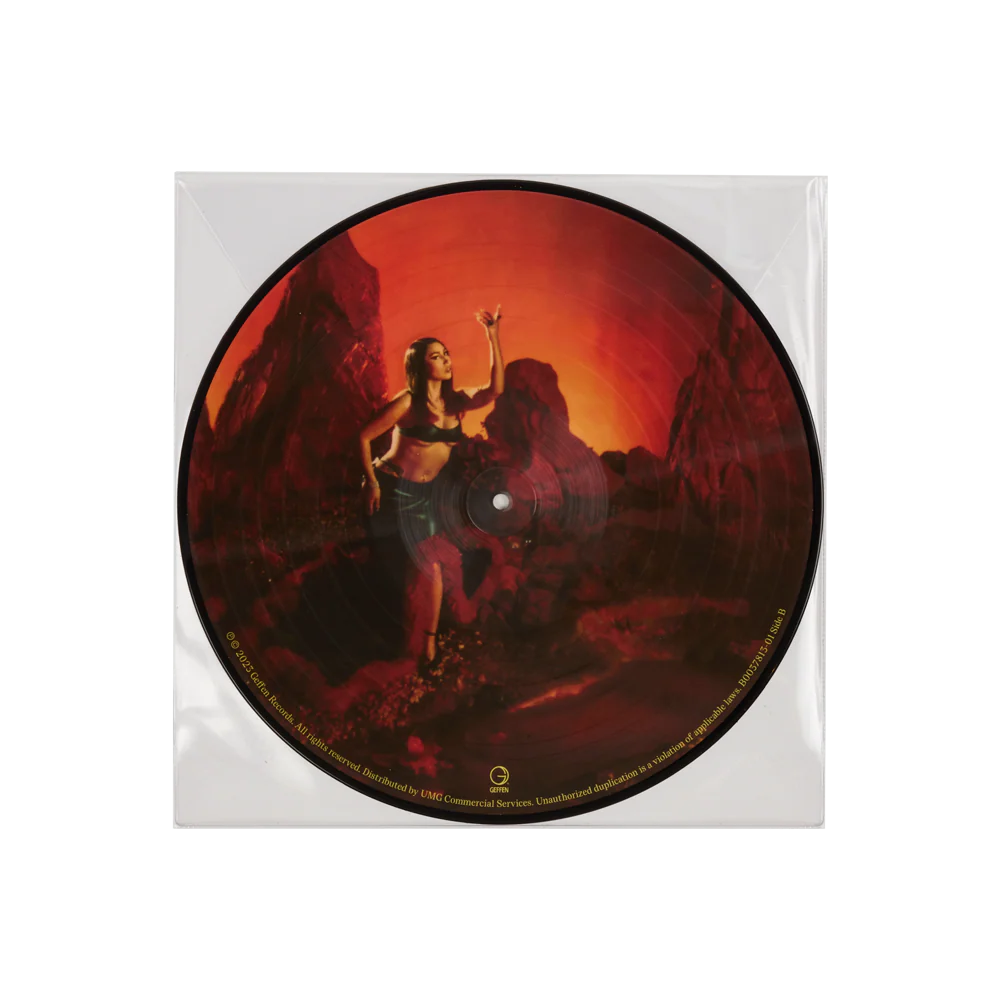 Red Moon In Venus Picture Disc - Image 3